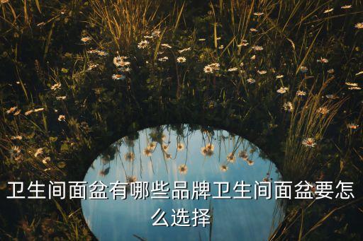 陶瓷衛(wèi)浴廚房圖片欣賞大全