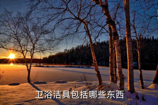 孝義衛(wèi)浴店面圖片大全大圖