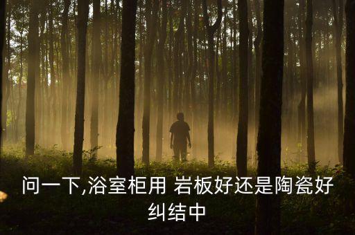 問一下,浴室柜用 巖板好還是陶瓷好糾結(jié)中