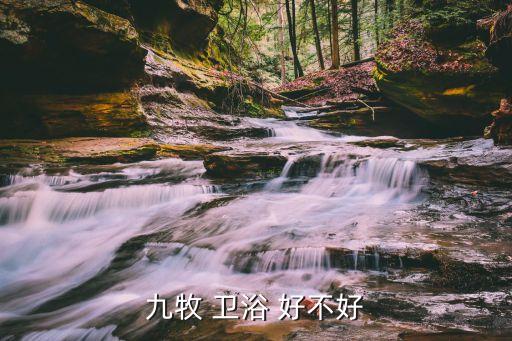 九牧 衛(wèi)浴 好不好