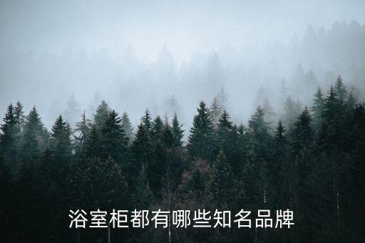 洛杉磯海納衛(wèi)浴地址查詢