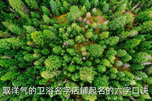 取洋氣的衛(wèi)浴名字店鋪起名的六字口訣