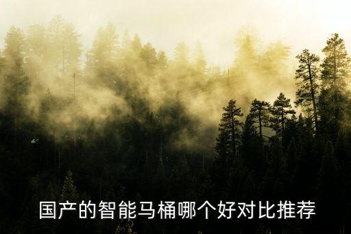  國產(chǎn)的智能馬桶哪個好對比推薦