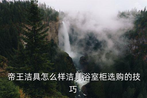  帝王潔具怎么樣潔具浴室柜選購的技巧