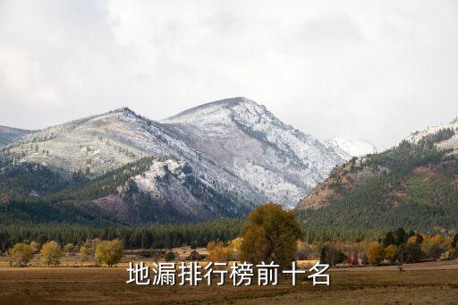 地漏排行榜前十名