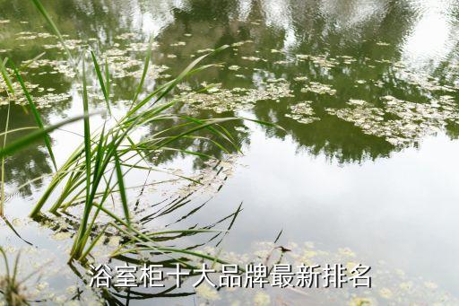 浴室柜十大品牌最新排名