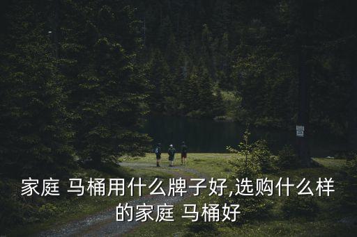 家庭 馬桶用什么牌子好,選購什么樣的家庭 馬桶好