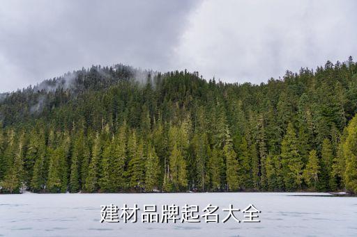  建材品牌起名大全