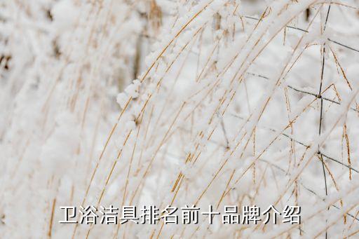 205年衛(wèi)浴品牌
