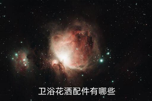  衛(wèi)浴花灑配件有哪些