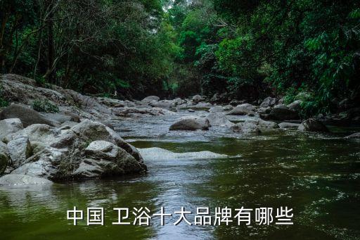 中國 衛(wèi)浴十大品牌有哪些