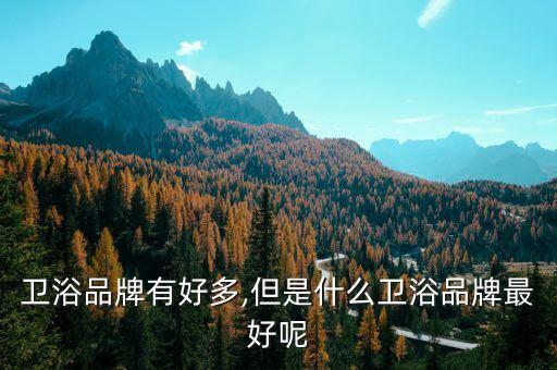 衛(wèi)浴品牌有好多,但是什么衛(wèi)浴品牌最好呢