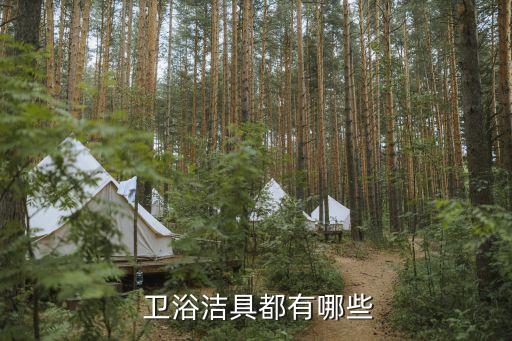 衛(wèi)浴潔具都有哪些