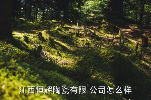 江西恒輝陶瓷有限 公司怎么樣
