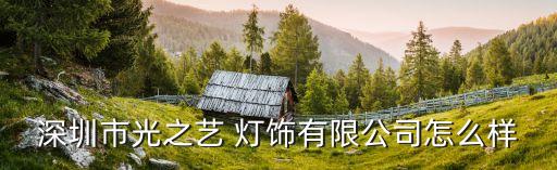 深圳市光之藝 燈飾有限公司怎么樣