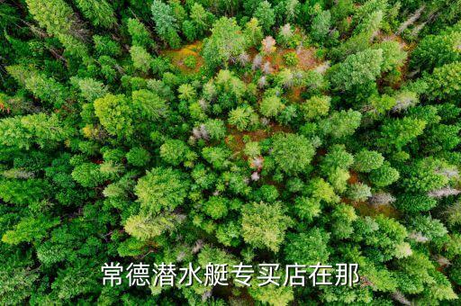 常德潛水艇專買店在那