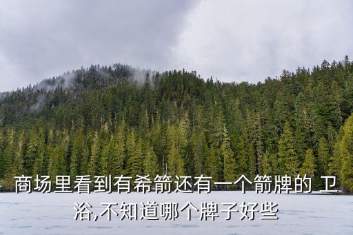 商場(chǎng)里看到有希箭還有一個(gè)箭牌的 衛(wèi)浴,不知道哪個(gè)牌子好些