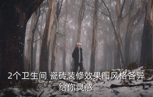 2個(gè)衛(wèi)生間 瓷磚裝修效果圖風(fēng)格各異給你靈感