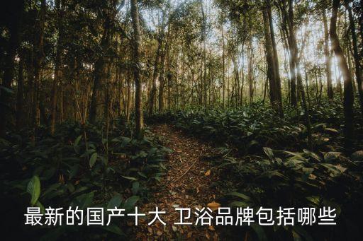 最新的國產(chǎn)十大 衛(wèi)浴品牌包括哪些
