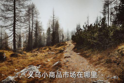  義烏小商品市場在哪里