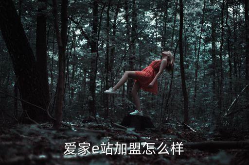 愛(ài)家e站加盟怎么樣