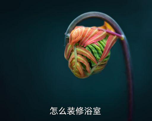 怎么裝修浴室