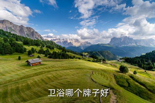  衛(wèi)浴哪個牌子好