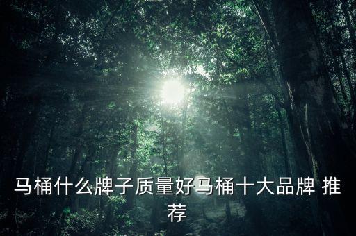 馬桶什么牌子質(zhì)量好馬桶十大品牌 推薦