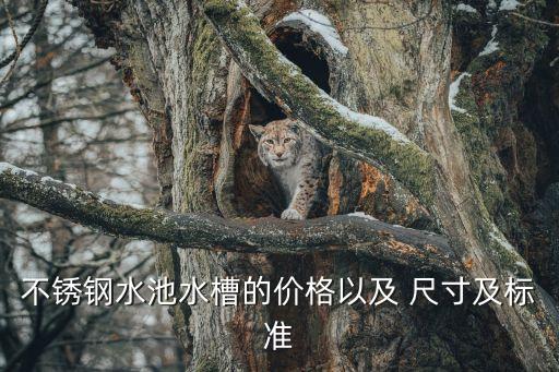 不銹鋼水池水槽的價格以及 尺寸及標準