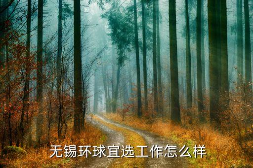  無錫環(huán)球宜選工作怎么樣