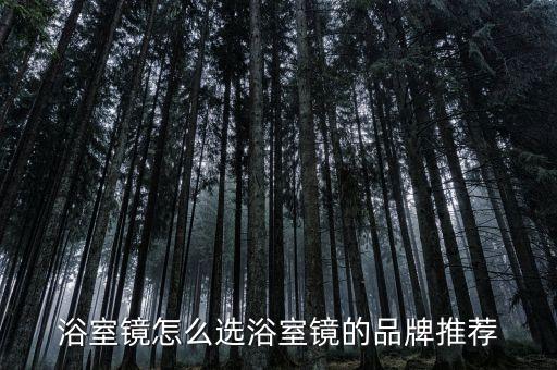 浴室鏡怎么選浴室鏡的品牌推薦