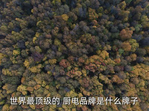世界最頂級(jí)的 廚電品牌是什么牌子