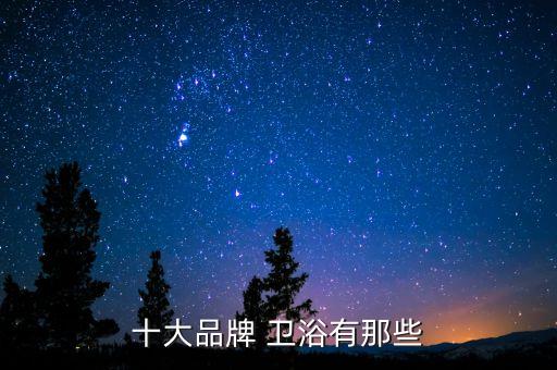 十大品牌 衛(wèi)浴有那些