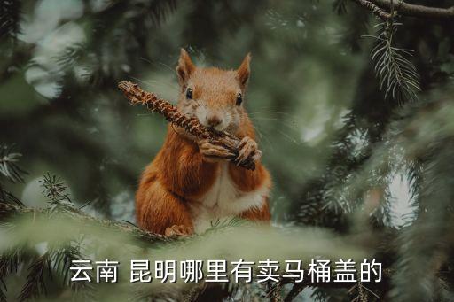云南 昆明哪里有賣馬桶蓋的