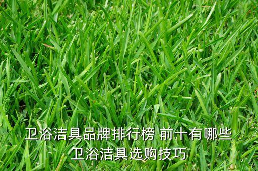  衛(wèi)浴潔具品牌排行榜 前十有哪些 衛(wèi)浴潔具選購(gòu)技巧