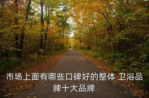 市場上面有哪些口碑好的整體 衛(wèi)浴品牌十大品牌
