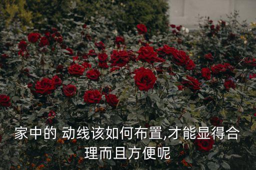 衛(wèi)浴動線布局要求圖片高清