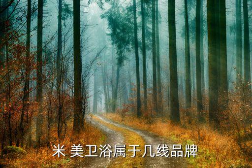米 美衛(wèi)浴屬于幾線品牌