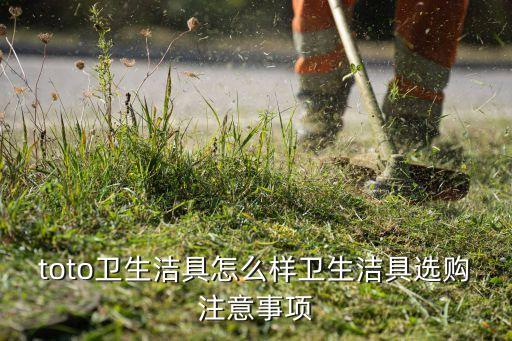 toto衛(wèi)生潔具怎么樣衛(wèi)生潔具選購(gòu)注意事項(xiàng)