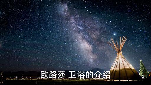 歐路莎 衛(wèi)浴的介紹