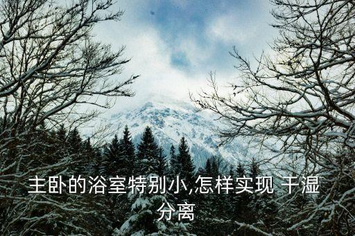 3平衛(wèi)浴干濕分離圖片,衛(wèi)浴干濕分離隔斷用什么門