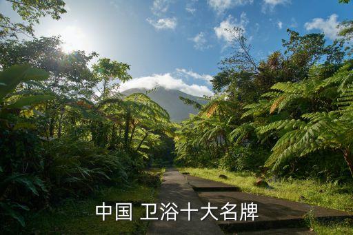 雙鴨山衛(wèi)浴品牌有哪些