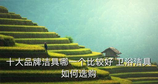 十大品牌潔具哪一個比較好 衛(wèi)浴潔具如何選購