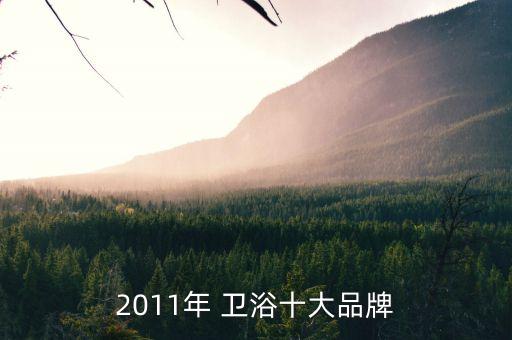 2011年 衛(wèi)浴十大品牌