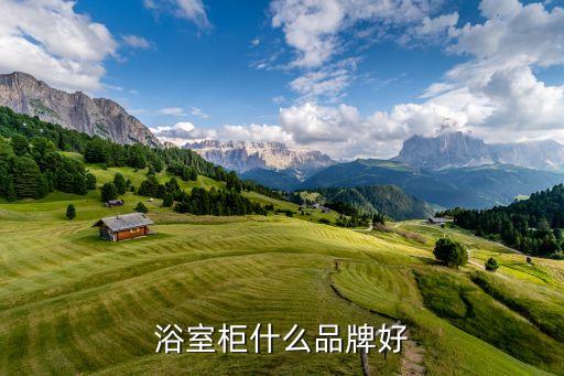 浴室柜什么品牌好