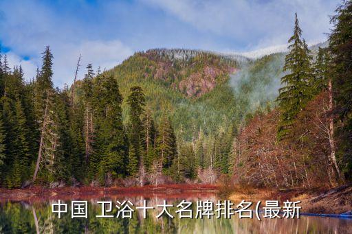 中國(guó) 衛(wèi)浴十大名牌排名(最新