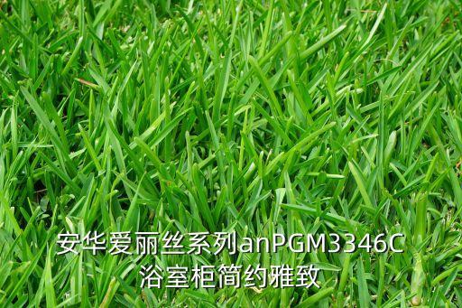 安華愛(ài)麗絲系列anPGM3346C浴室柜簡(jiǎn)約雅致