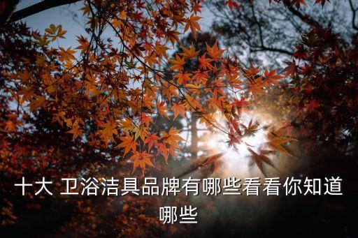 西安衛(wèi)浴品牌介紹設(shè)計公司