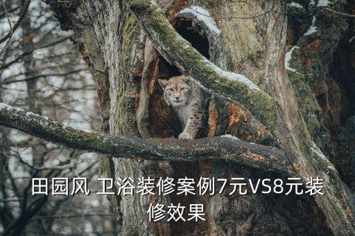 大尺寸衛(wèi)浴墊圖片欣賞視頻