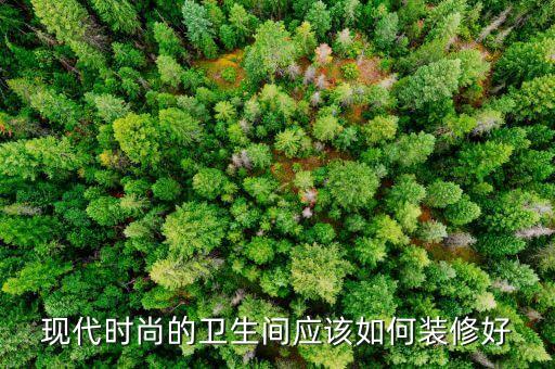 現(xiàn)代時尚的衛(wèi)生間應(yīng)該如何裝修好